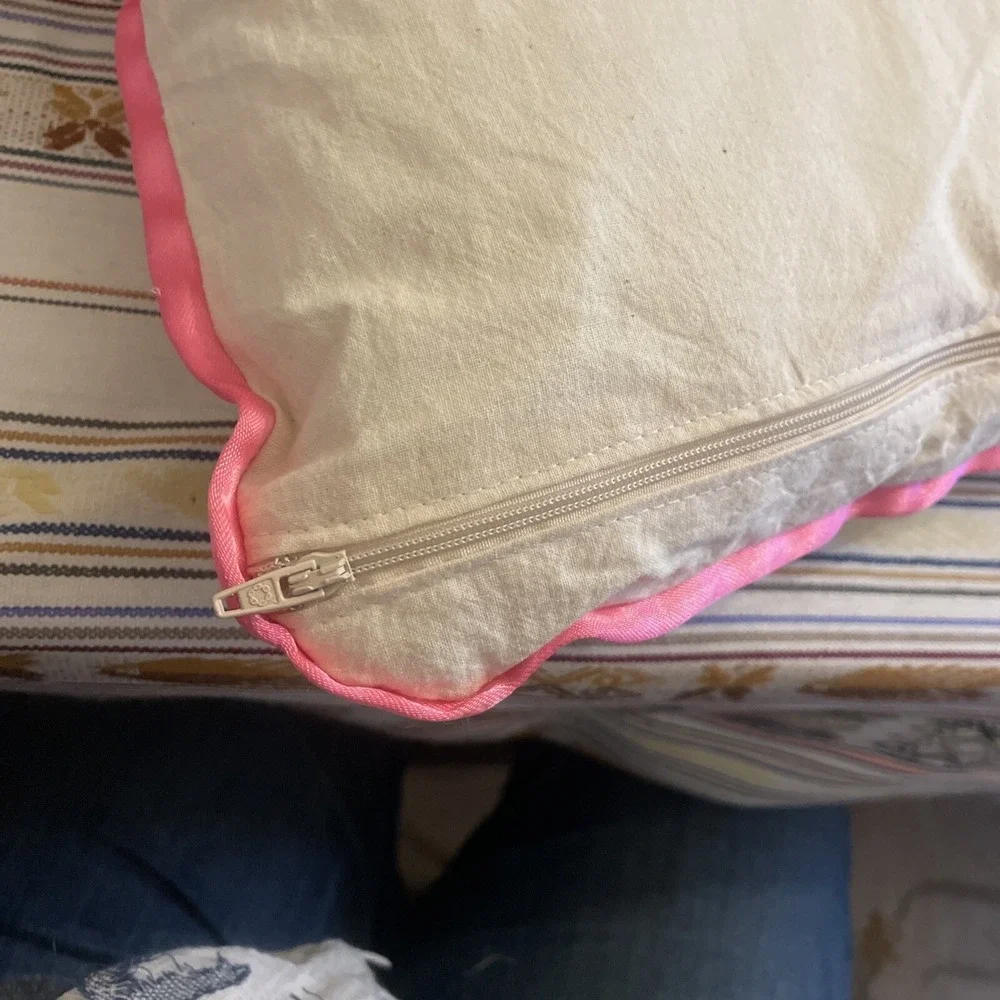 Hand Painted Pink Floral Pillow Case (pink Satin Trim) W/ Pillow‎ From Argentina